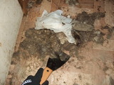 860f770b.jpg