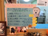 89541c91.jpg