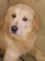 aded82c1.jpg