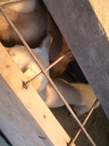 ba4cf821.jpg