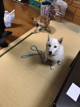 f0a6619e.jpg