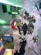c0462c17.jpg