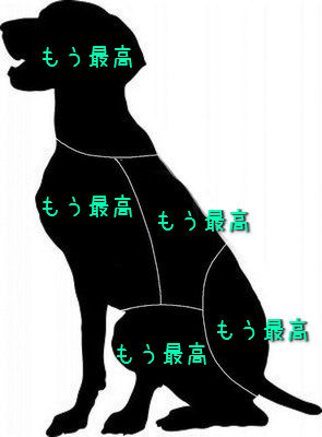 1534463189737