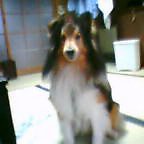 20030719_1734_000.jpg