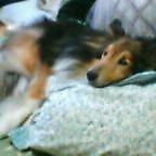 20050525_1411_000.jpg