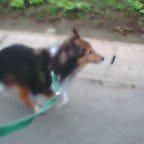 20050529_0703_002.jpg