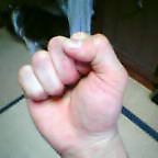 8d7c1bec.jpg
