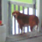 20040825_0741_002.jpg
