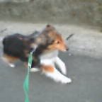 20050527_0618_004.jpg
