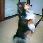 20050522_1429_000.jpg