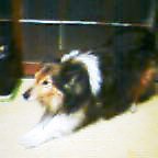 20050526_2253_000.jpg