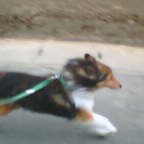 20050529_0703_001.jpg
