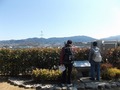 057-600トンボ