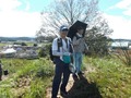 049-600とんぼ