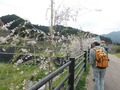 061-600とんぼ