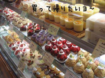 トミタのケーキ