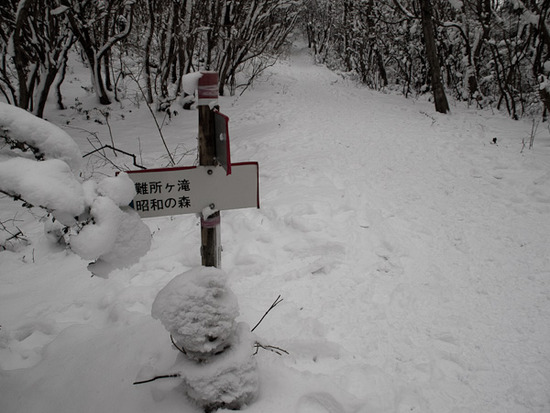 20120204-P2042681