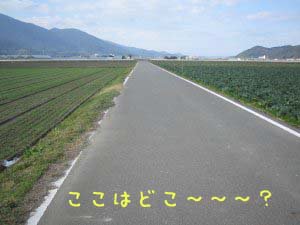 一貴山あたり