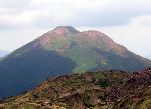平治岳