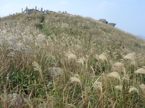 福智山山頂