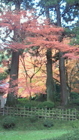 200911040945000