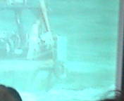 bd38c7d1.jpg