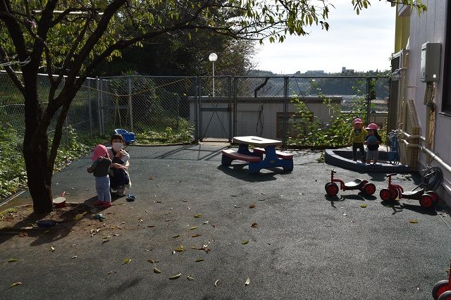 DSC_0028