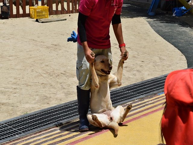 DSC_0223