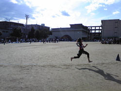 SBSH0081