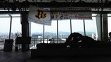 1eb70017.jpg