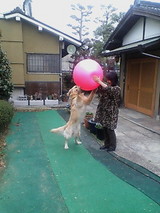 ジャンプ!!