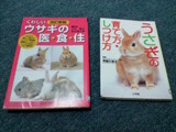 図書館