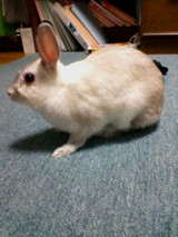 警戒中