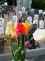 お供え