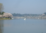 IMGP3252