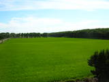 b38a47de.JPG