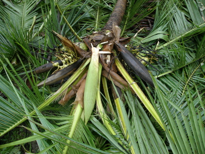 P3160010