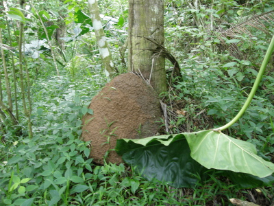 P3080001