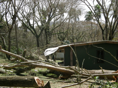 P3200051