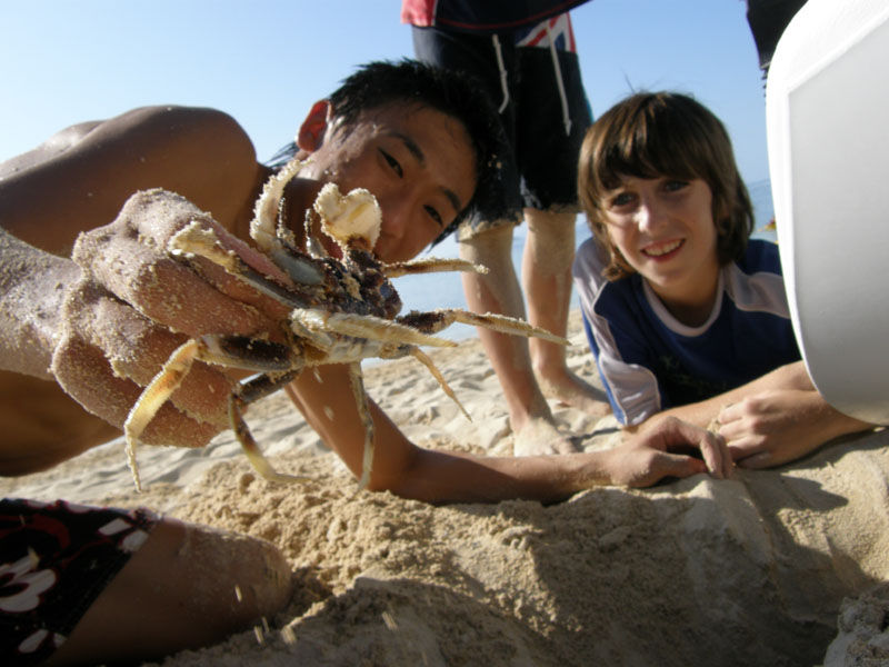 ReoHarrisCrab