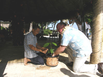 Cacao Planting Castaway1