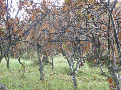P3240025