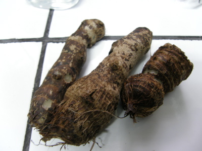 P1010040