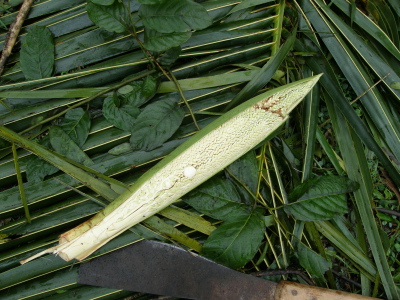 P3160011