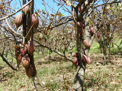 P3240032