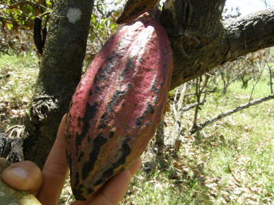 P3240036
