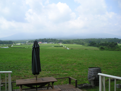 c0357620.jpg