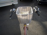 20100806 016