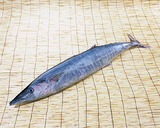 sawara1