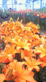 a19cf81c.jpg